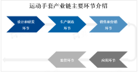 人们对健康和运动的关注度不断提高，带动运动手套市场需求量持续上升