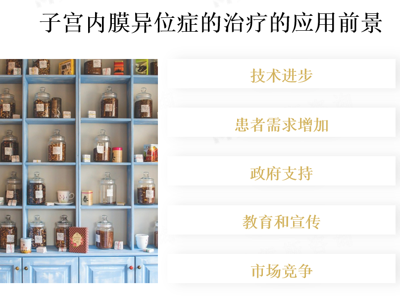 应用前景分析