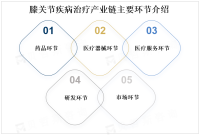 全球膝关节疾病治疗市场发展概览、前景预测及市场机会分析