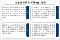 移动互联网、大数据分析、人工智能等技术不断发展，将为电子商务软件市场带来更多机遇和挑战