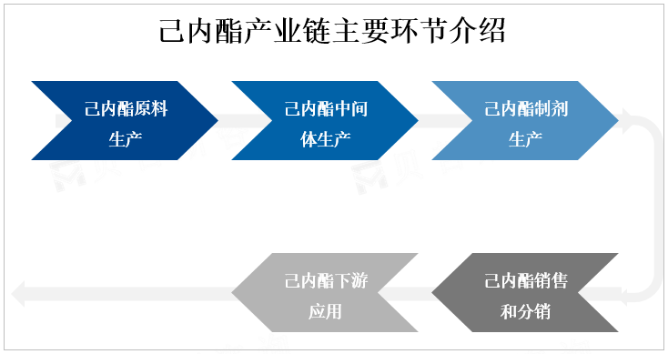 己内酯产业链主要环节介绍 