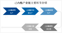 全球己内酯市场PEST分析、市场规模及竞争格局分析预测[图]