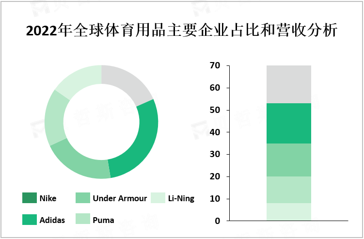 2022年全球体育用品主要企业占比和营收分析