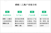 磷酸三乙酯市场在全球范围内分布广泛，其中中国为主要生产和消费地区

