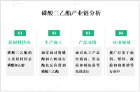 磷酸三乙酯市场在全球范围内分布广泛，其中中国为主要生产和消费地区

