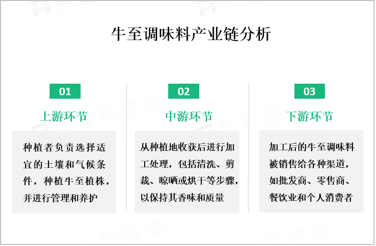 牛至调味料产业链分析