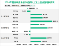 2024年前三季度白银市规模以上工业增加值同比增长19.1%