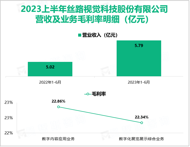 2023上半年丝路视觉科技股份有限公司 营收及业务毛利率明细（亿元）