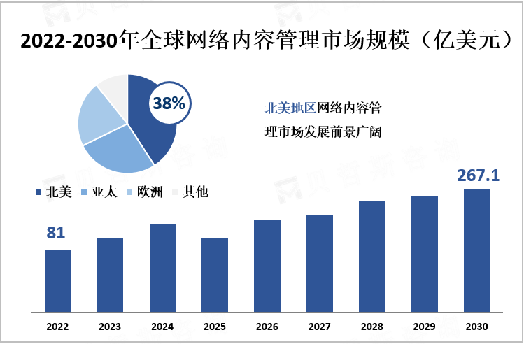 2022-2030年全球网络内容管理市场规模（亿美元）