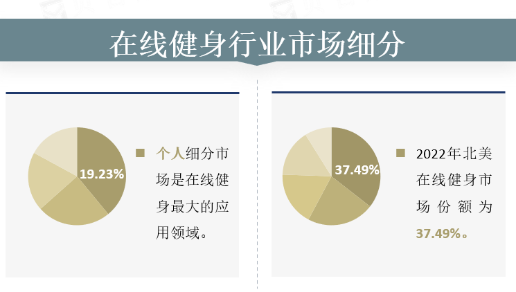 在线健身行业市场细分