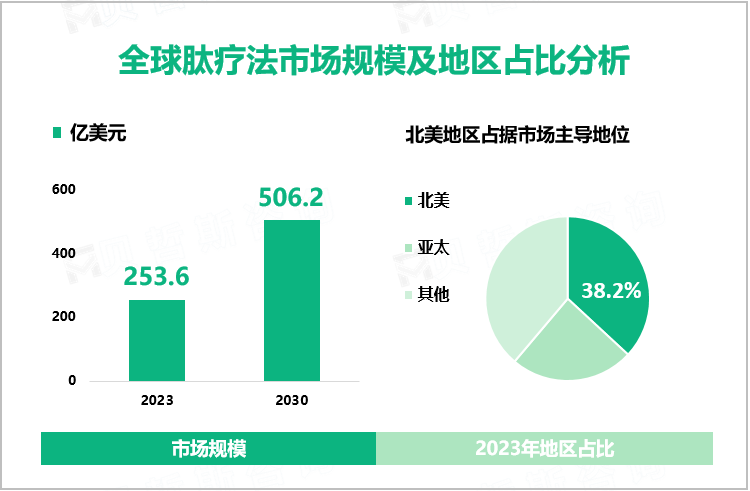 全球肽疗法市场规模及地区占比分析