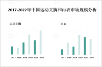 中国运动文胸和内衣市场规模及PEST分析

