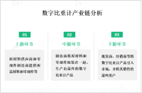全球及中国数字比重计市场规模庞大，呈现稳定增长趋势

