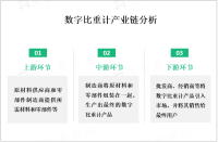 全球及中国数字比重计市场规模庞大，呈现稳定增长趋势

