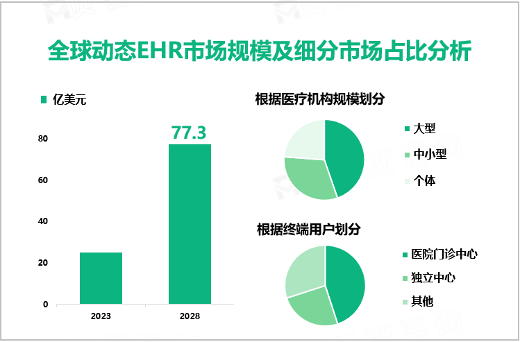 全球动态EHR市场规模及细分市场占比分析