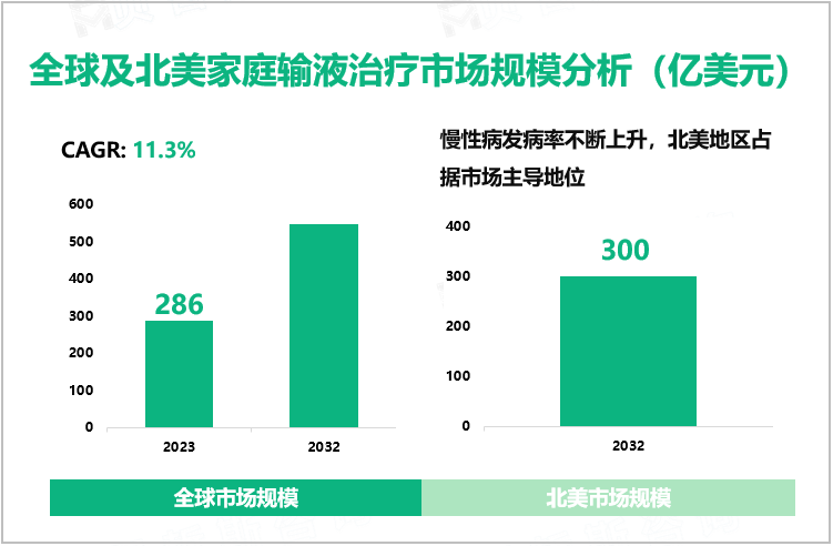 全球及北美家庭输液治疗市场规模分析（亿美元）