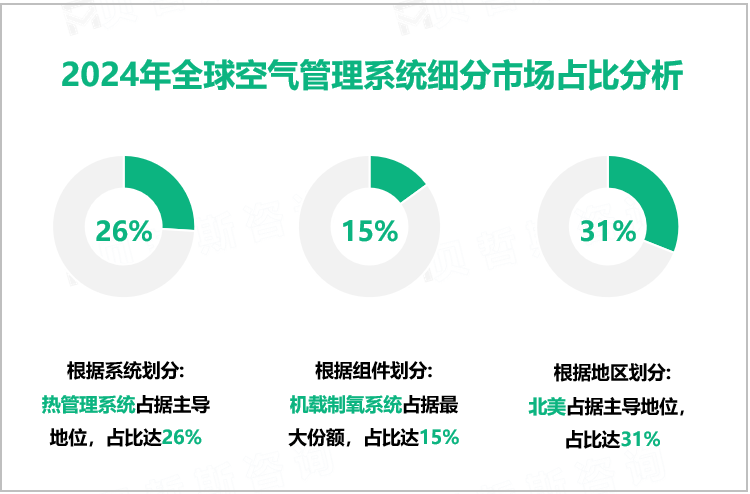 2024年全球空气管理系统细分市场占比分析