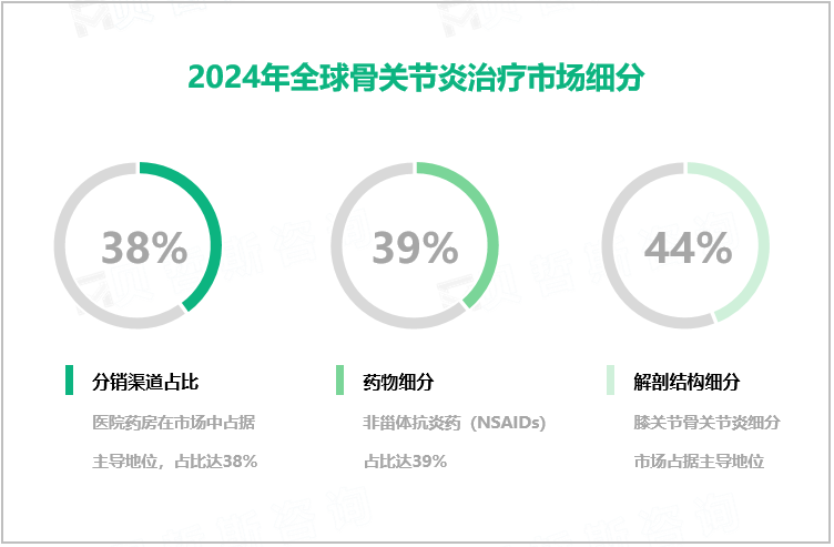 2024年全球骨关节炎治疗市场细分