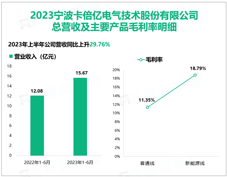 2023宁波卡倍亿电气技术股份有限公司 总营收及主要产品毛利率明细
