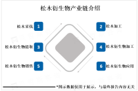 松木衍生物未来应用领域将不断拓展和深化，出现更多的应用形态和产品创新