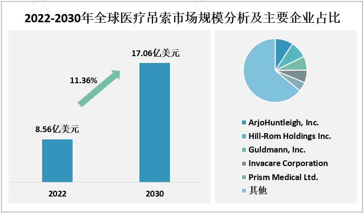 2022-2030年全球医疗吊索市场规模分析及主要企业占比