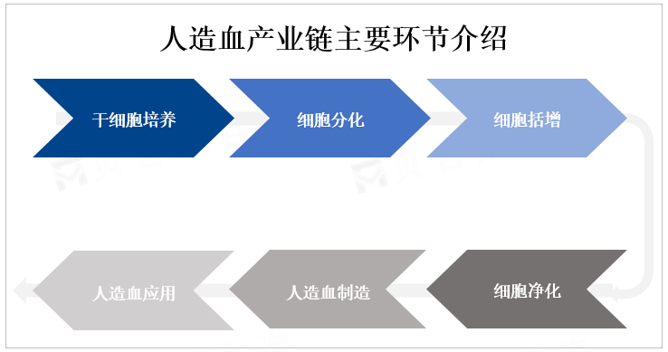 人造血产业链主要环节介绍 