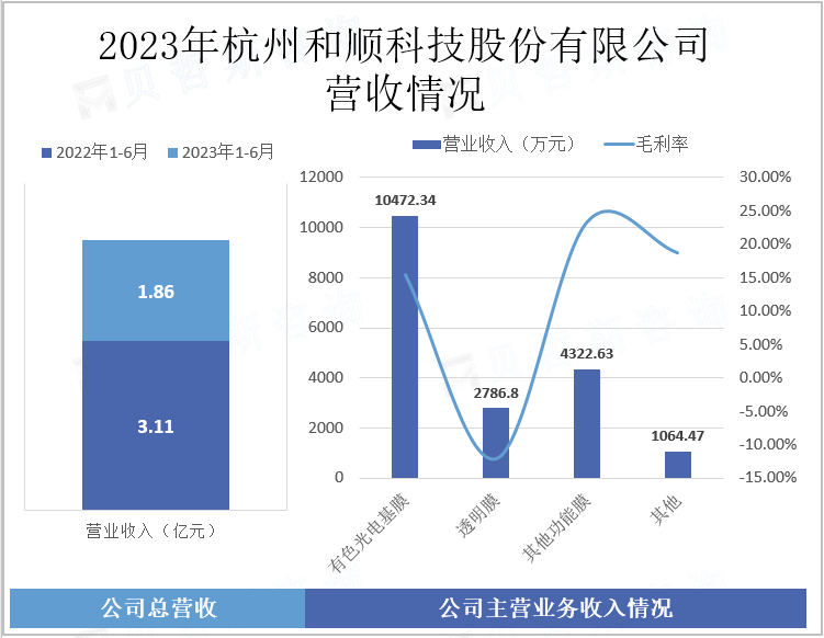 2023年杭州和顺科技股份有限公司营收情况