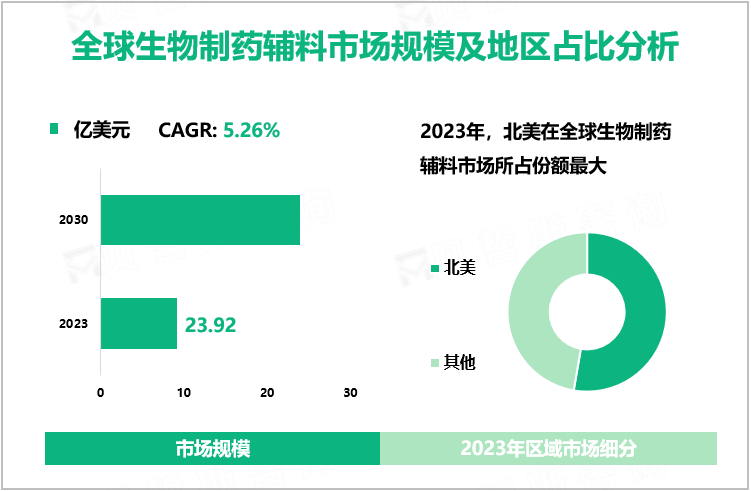 全球生物制药辅料市场规模及地区占比分析