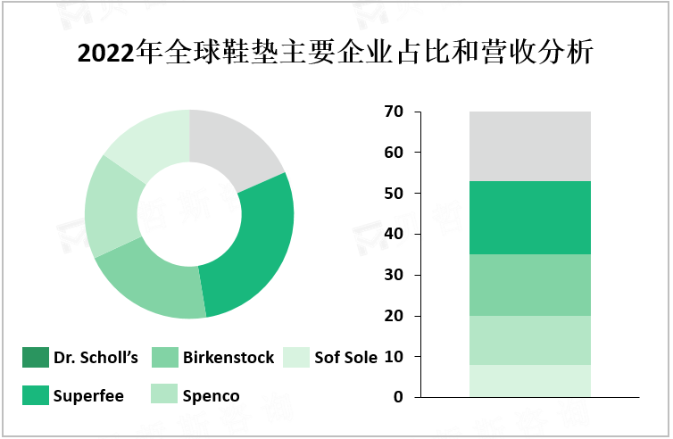 2022年全球鞋垫主要企业占比和营收分析