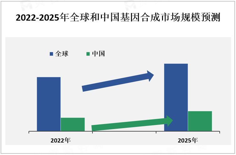 2022-2025年全球和中国基因合成市场规模预测