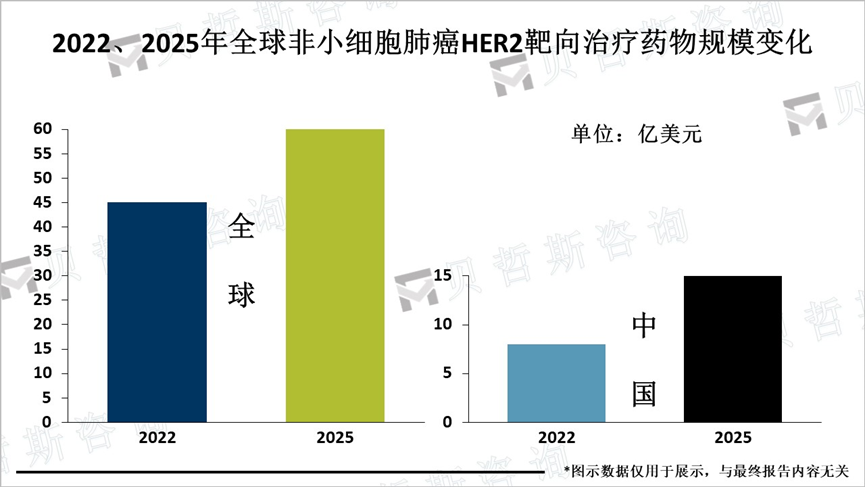 2022、2025年全球非小细胞肺癌HER2靶向治疗药物规模变化