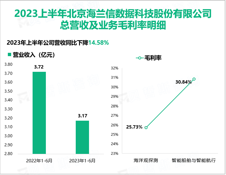 2023上半年北京海兰信数据科技股份有限公司 总营收及业务毛利率明细