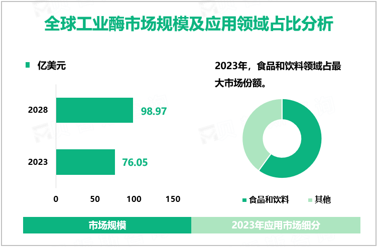 全球工业酶市场规模及应用领域占比分析