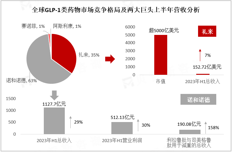 全球GLP-1类药物市场竞争格局及两大巨头上半年营收分析