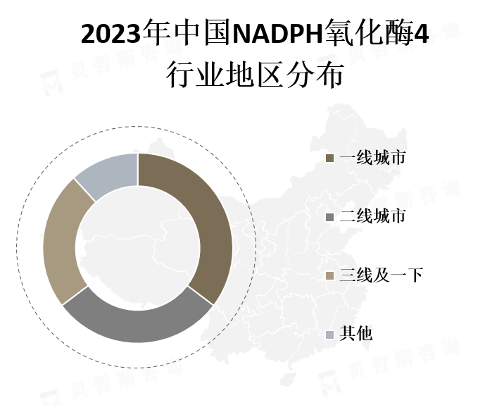 中国各地区市场份额