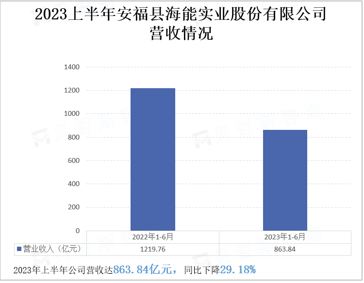 2023上半年安福县海能实业股份有限公司 营收情况
