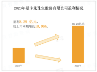 曼卡龙将“年轻、轻奢、色彩、情感”的珠宝理念融入到产品创意中，聚焦于年轻消费群体，盈利 8,29 亿元