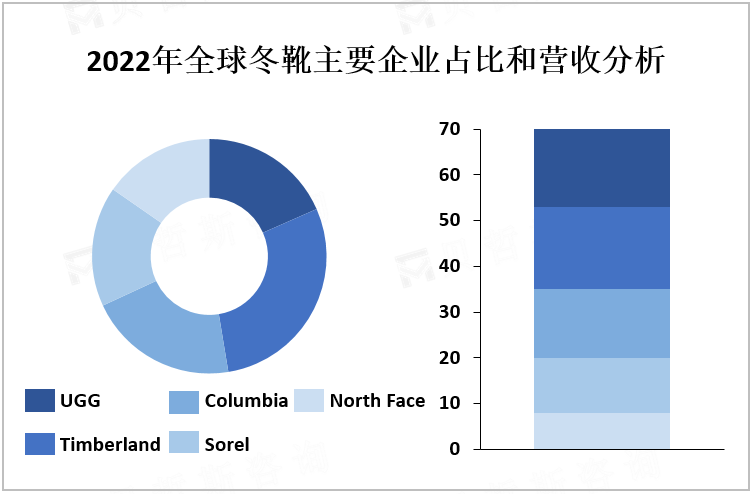 2022年全球冬靴主要企业占比和营收分析