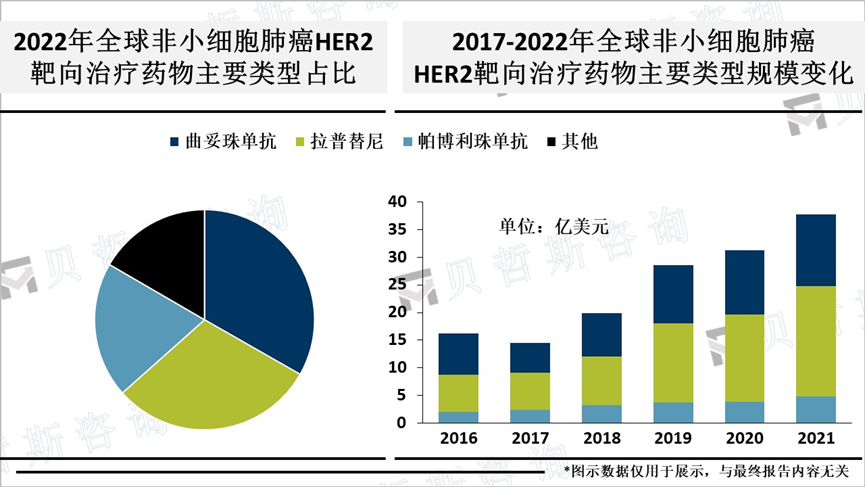 2022年全球非小细胞肺癌HER2靶向治疗药物主要类型占比