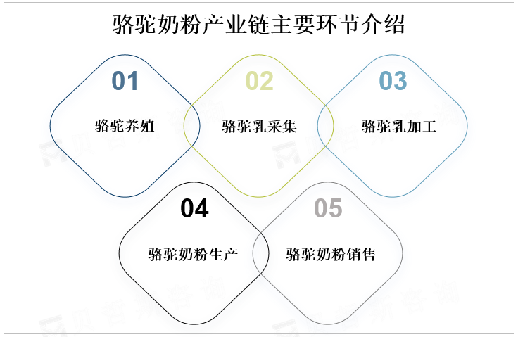 骆驼奶粉产业链主要环节介绍