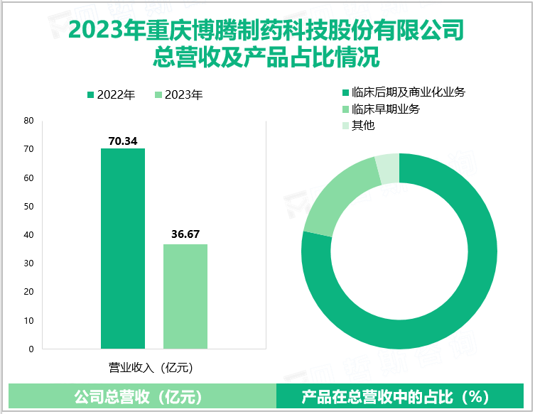 2023年重庆博腾制药科技股份有限公司总营收及产品占比情况