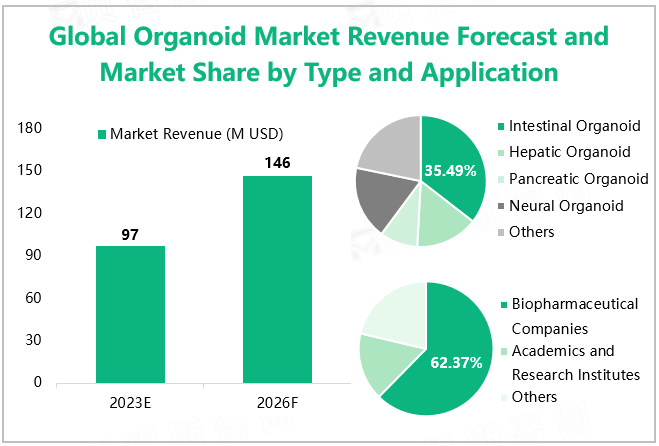 Global Organoid Market Revenue Forecast and Market Share by Type and Application 