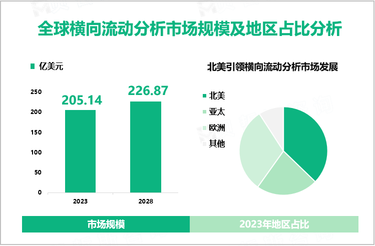 全球横向流动分析市场规模及地区占比分析