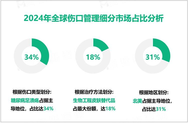 2024年全球伤口管理细分市场占比分析