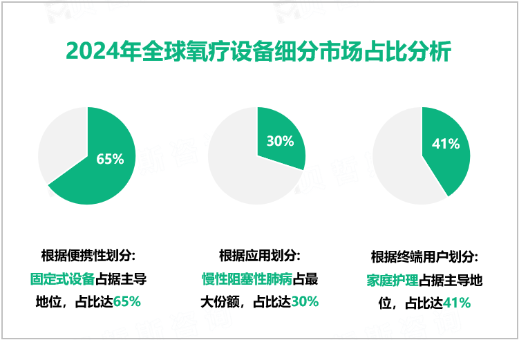 2024年全球氧疗设备细分市场占比分析