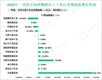 2025年一季度甘南州地区生产总值66.75亿元，同比增长5.1%