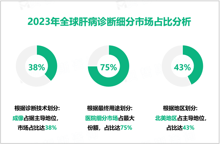 2023年全球肝病诊断细分市场占比分析