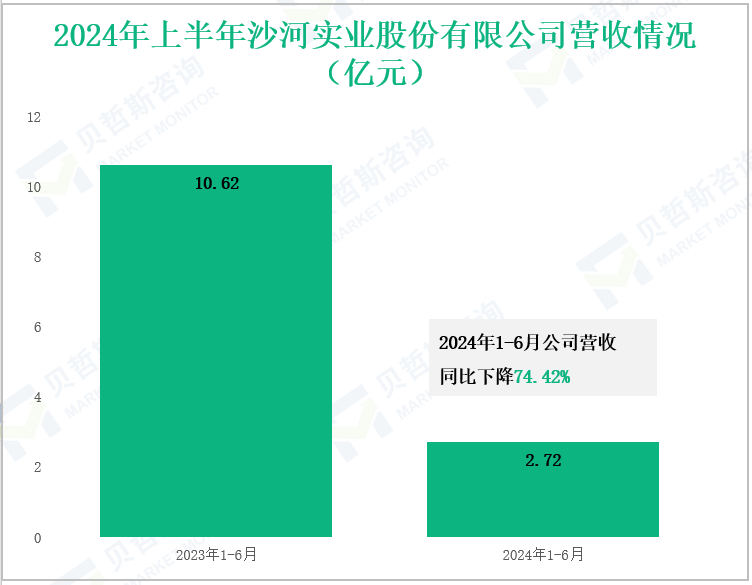 2024年上半年沙河实业股份有限公司营收情况(亿元)