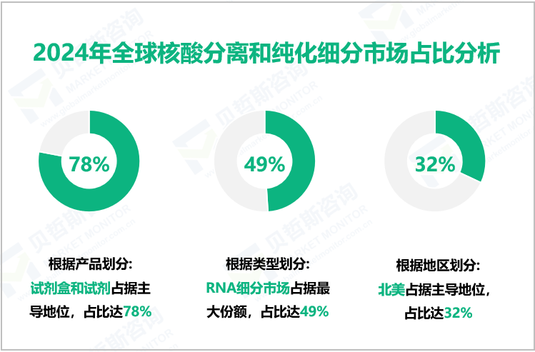 2024年全球核酸分离和纯化细分市场占比分析