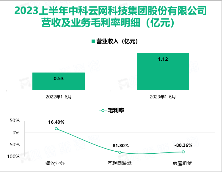 2023上半年中科云网科技集团股份有限公司 营收及业务毛利率明细（亿元）